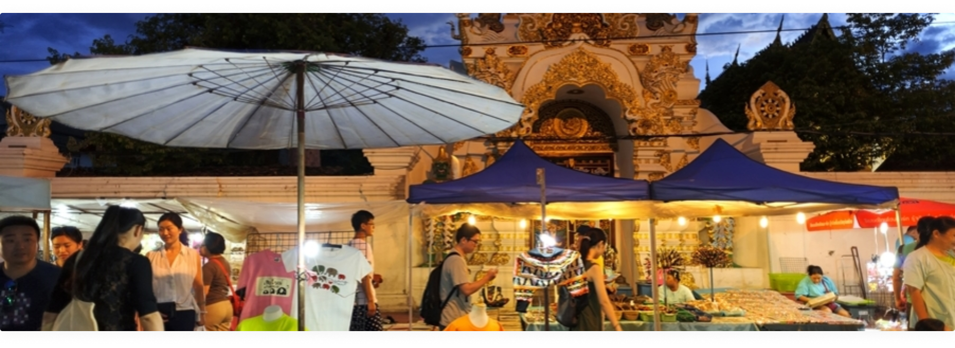 Official Website of Thailand Electronic Visa